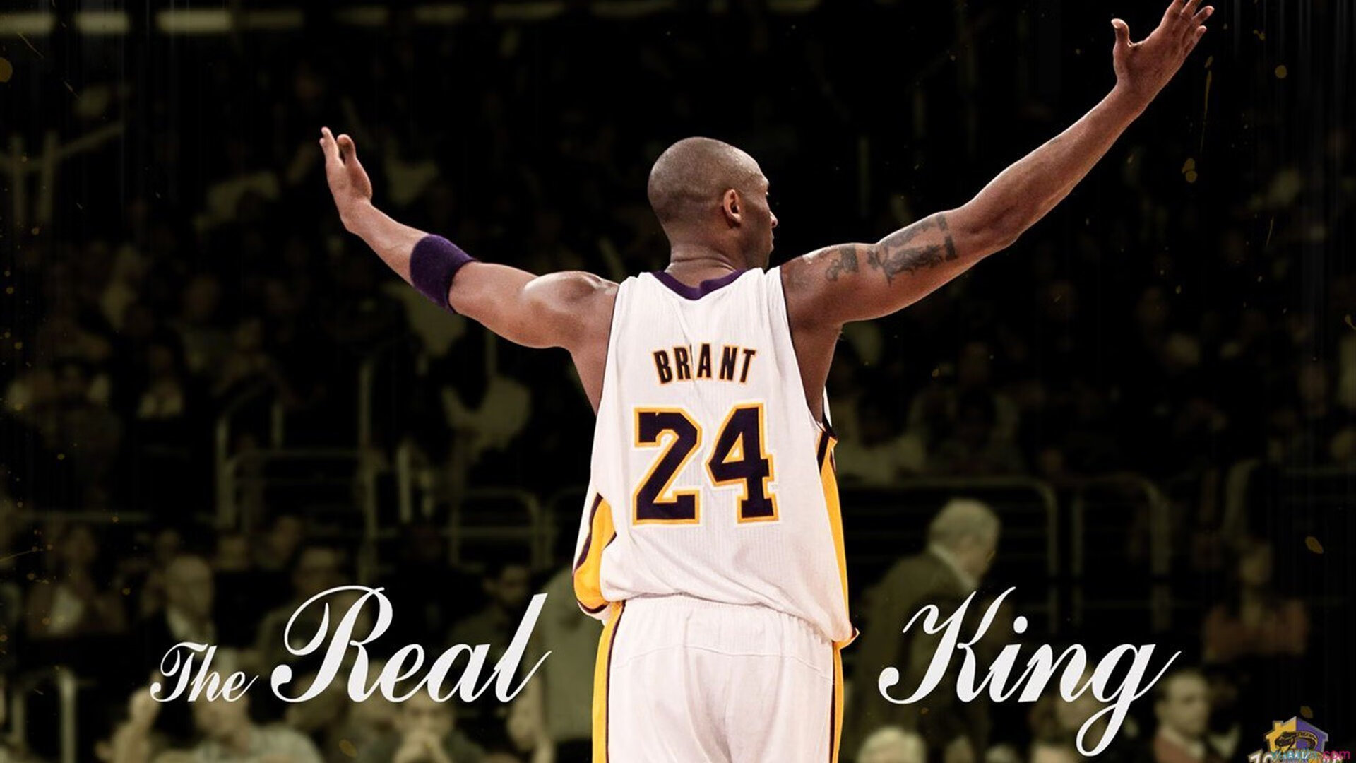 开云体育官网-太阳单节拉开尼克斯，拉文如何从质疑声中淬炼成关键先生？